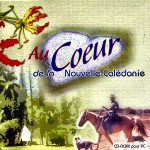 pressage cd photos