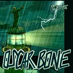 pressage cd audio album bone