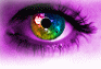 Films et clips d'entreprise, reportages, tournage et montage vid�o, cr�ation authoring DVD