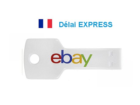 Clé USB carte de visite personnalisée Express 48H