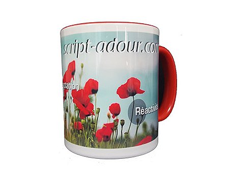 mug personnalise bicolore